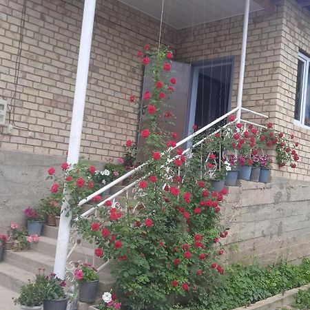 Guest House Kyzyl Alma Arkit Bagian luar foto